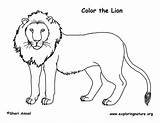 Lion Coloring Page sketch template