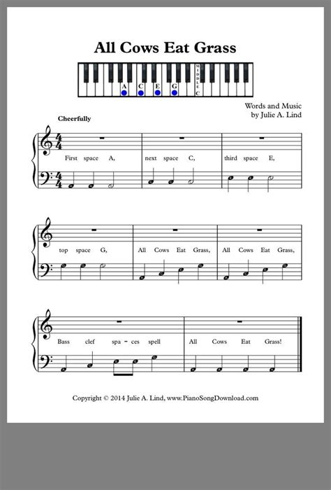 Piano Learning - | Learn piano notes, Beginner piano music, Piano lessons