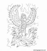 40  Phoenix Coloring Pages Free Printable PDF & Online sketch template