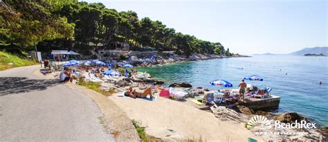 Beach Rat - Cavtat - Dalmatia Dubrovnik - Croatia | Beachrex.com