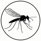 Premium Vector  Mosquitoes Silhouettes And icons Black Flat color sketch template