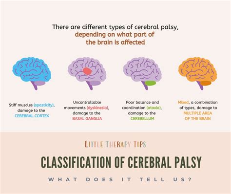 Four Types Of Cerebral Palsy