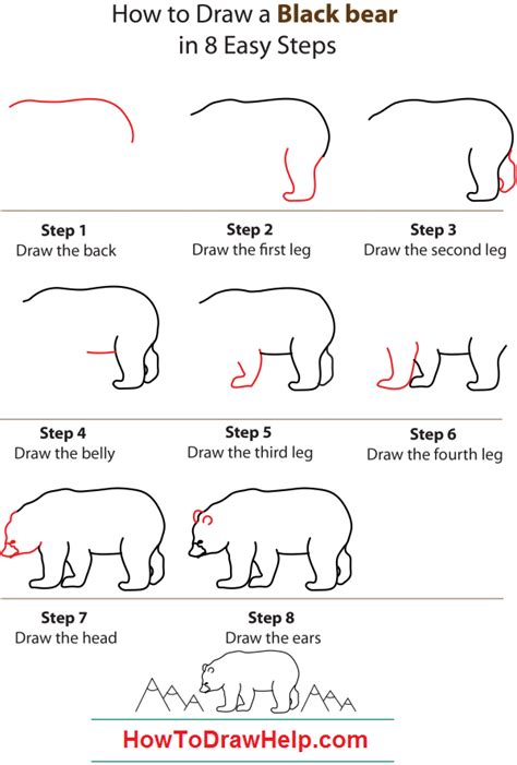 how-to-draw-a-black-bear-step-by-step | Bear drawing, Black bear, Bear paintings