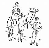 Little Boy Is Riding Camel coloring Page  Download Print Or Color sketch template