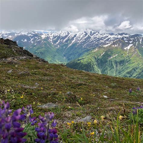 Mt Juneau Trail - All You Need to Know BEFORE You Go (2024)