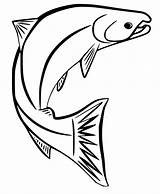 Salmon Jumps Coloring Page  Free Printable Pages For Kids sketch template