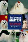 Maltese Breeders of Maltese Puppies & Champion Maltese Dogs