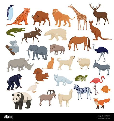 Wild home pets set. Wild animals bison elephant fox rhinoceros deer ...