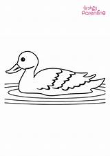 Easy Printable Duck Coloring Pages For Kids sketch template