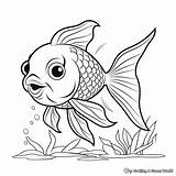 Gold Fish Coloring Page sketch template