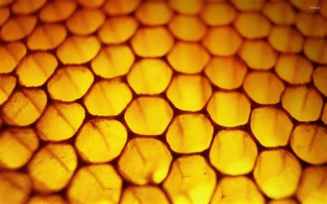 Honeycomb Wallpaper Windows 8 - WallpaperSafari