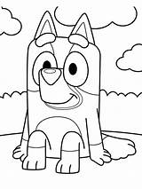 Adorable Bluey coloring Page  Download Print Or Color Online For Free sketch template