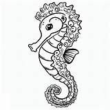 Seahorse Image coloring Page  Download Print Or Color Online For Free sketch template