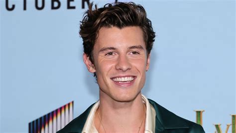 Shawn Mendes Reflects On Pulling The Plug On Tour To Focus On Menta...