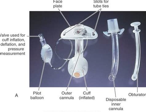 parts-tracheostomy-tube – Ace Achievers