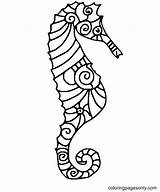 60 Seahorse Coloring Pages  ColoringPagesOnlycom sketch template