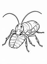 30  Cockroach Coloring Pages Free Printable PDF JPG PNG & Online sketch template