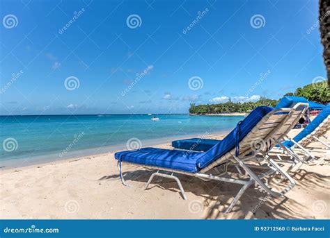 Caribbean beach chairs stock photo. Image of barbados - 92712560