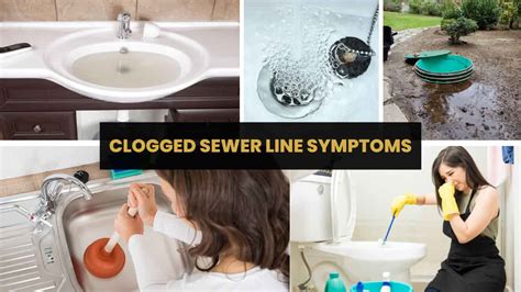 How Do I Know If My Sewer Line Is Clogged? - Plumbing Advice24