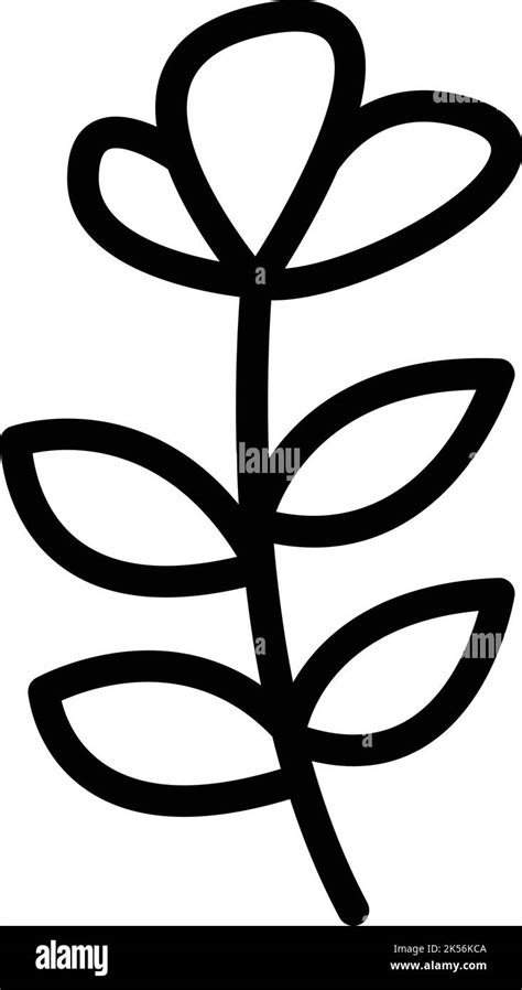 Oregano icon outline vector. Leaf herb. Basil plant Stock Vector Image ...