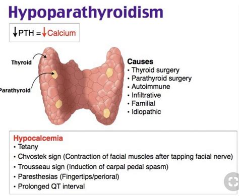 Hypoparathyroidism : Definition, Types, Symptoms, Treatment And MCQs ...