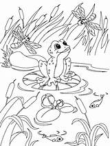 Coloring Pollywog Pages Template Sketch Page sketch template
