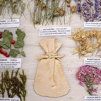 Native Herbal Medicine Plants