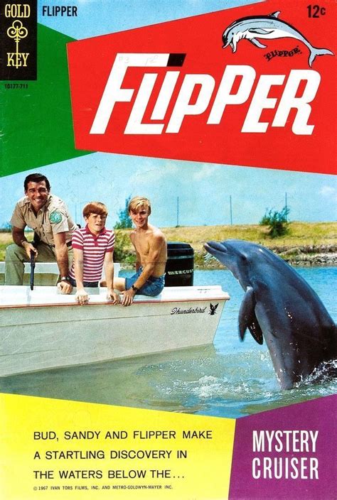 Flipper (1964 TV series) - Alchetron, the free social encyclopedia