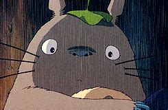 Animated Totoro Gif