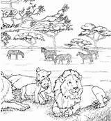 Coloring Book Plains Pages sketch template