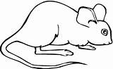 Free Printable Mouse Coloring Pages For Kids sketch template