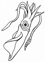 Squid Coloring Pages To Download And Print For Free sketch template