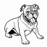 Sitting Bulldog With tongue coloring Page Lulu Pages sketch template