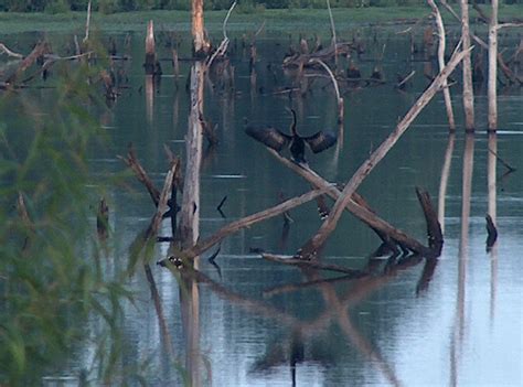 Vicksburg District > Missions > Recreation > Arkabutla Lake > History ...