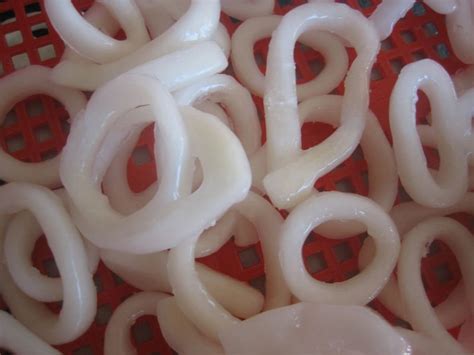 Frozen squid rings products,China Frozen squid rings supplier