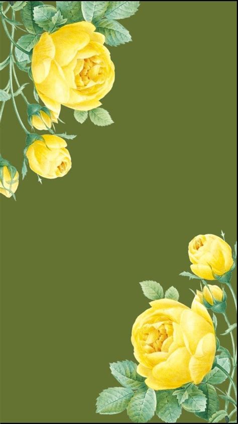 Wallpaper Backgrounds, Iphone Wallpaper, Wallpapers, Lovely Flowers Wallpaper, Deepest Sympathy ...