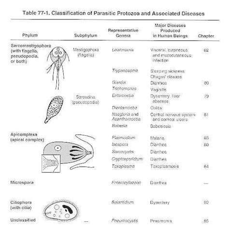 Table 77-1, Classification of Parasitic Protozoa and Associated Diseases - Medical Microbiology ...