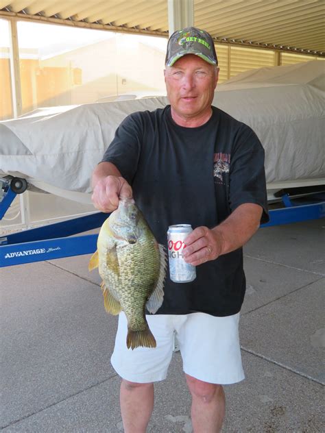 Lake Havasu Arizona - Bluegills, Crappies, Perch & Whitebass - Bluegills, Crappies, Perch ...