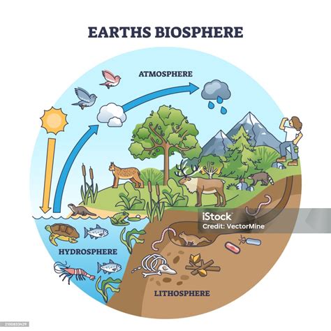 Earth Biosphere With Atmosphere Hydrosphere And Lithosphere Outline Diagram Stock Illustration ...