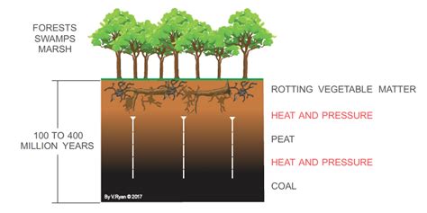 FOSSIL FUELS - COAL | Coal, Fossil, Fossil fuels