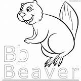 Free Beaver Coloring Pages  Clowncoloringpages sketch template