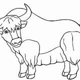 Yak Coloring Pages Printable For Free Download sketch template