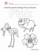 Fun And Educational Color Pink Lesson Plan sketch template