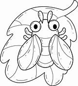 Cicada Coloring Pages – Fun Free sketch template