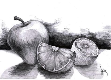 Fruit pencils | Still life drawing, Fruit art drawings, Vegetable drawing