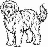 A dog coloring Page With Black And White outline 50016910 Vector Art  sketch template