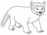 Free Printable Raccoon Coloring Pages For Kids sketch template