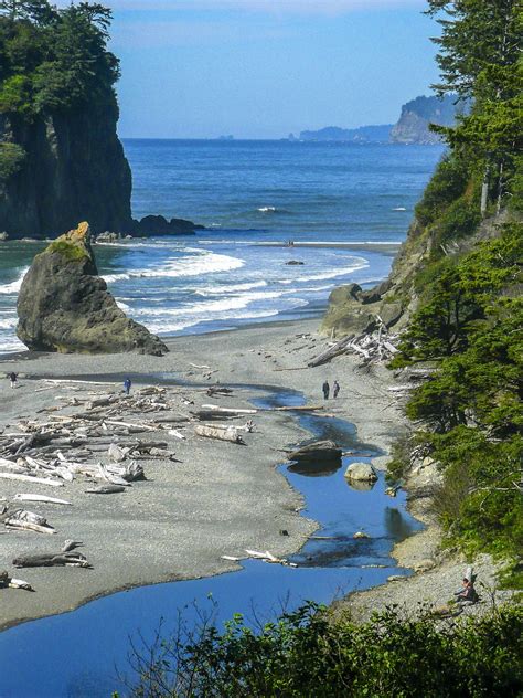 Ruby Beach Olympic National Park - Free photo on Pixabay - Pixabay