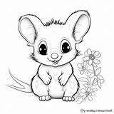 Possum Coloring Pages  Free & Printable sketch template