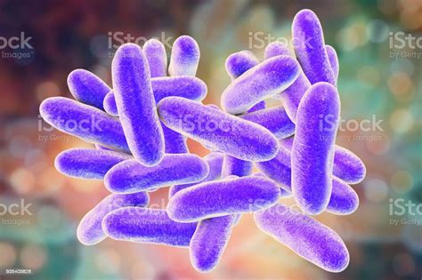 Legionella Pneumophila Bacteria Stock Photo - Download Image Now - Bacterium, Gram Stain, Rod ...